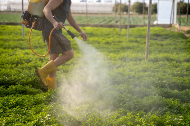 Best Commercial Pest Control Services  in Pleasantville, NY