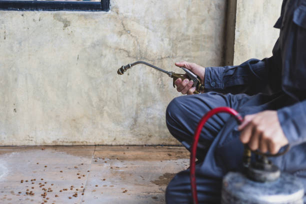 Best Exterminator Services  in Pleasantville, NY